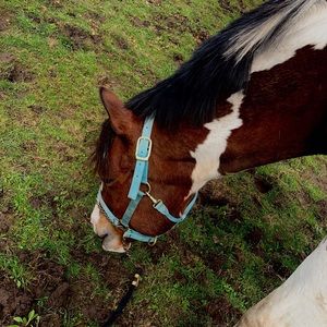 Meet your Posher, Abbey